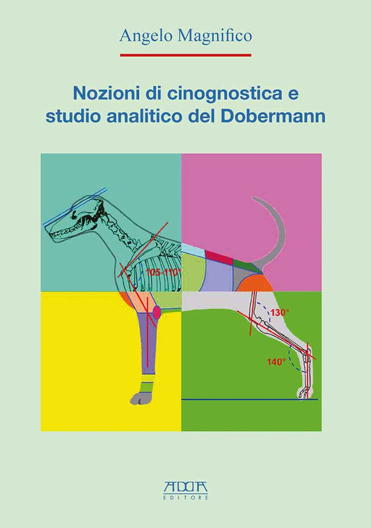 Nozioni di cinognostica e studio analitico del Dobermann